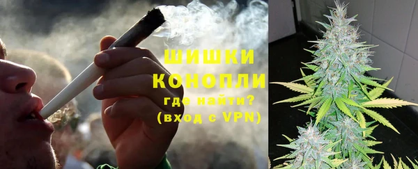 винт Богданович
